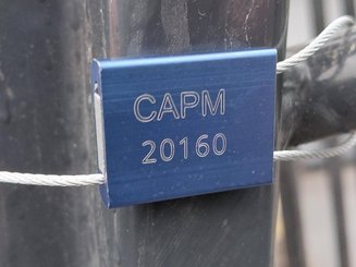 Четырехопорные погрузчики Caterpillar DP55NT MC